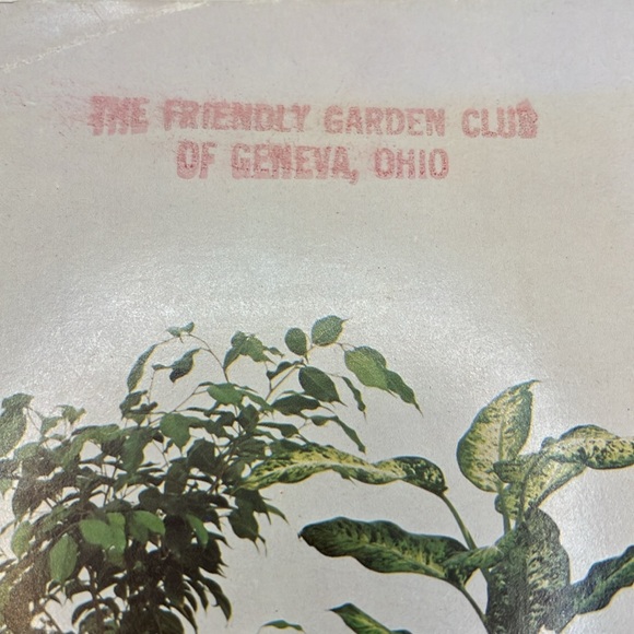 Professional Guide to Green Plants Houseplant guide - Picture 5 of 10